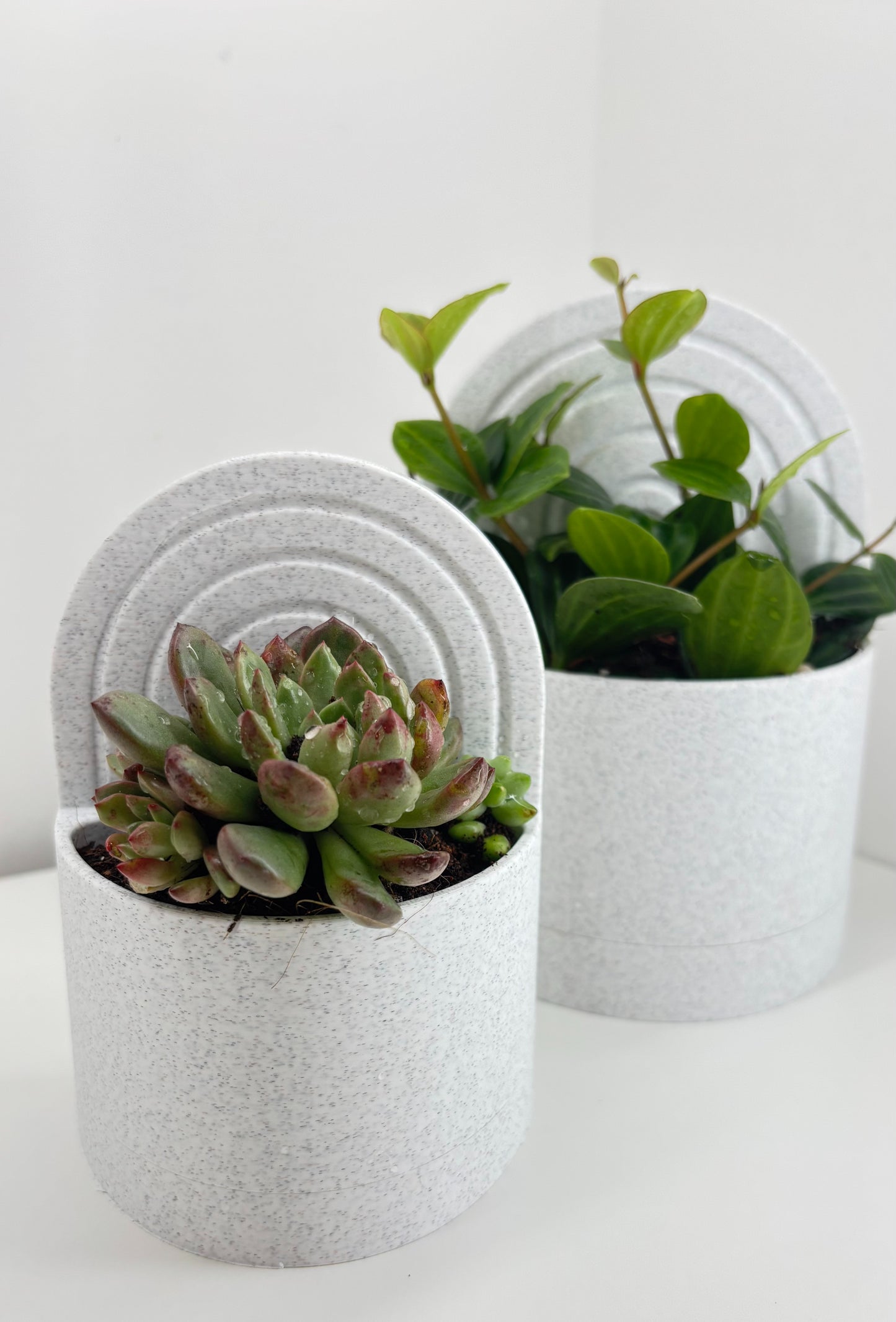 Bookend Planter With Water Reservoir image 3