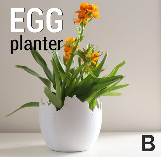Egg Planter image 1