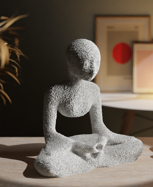 NObody - Monk image 1