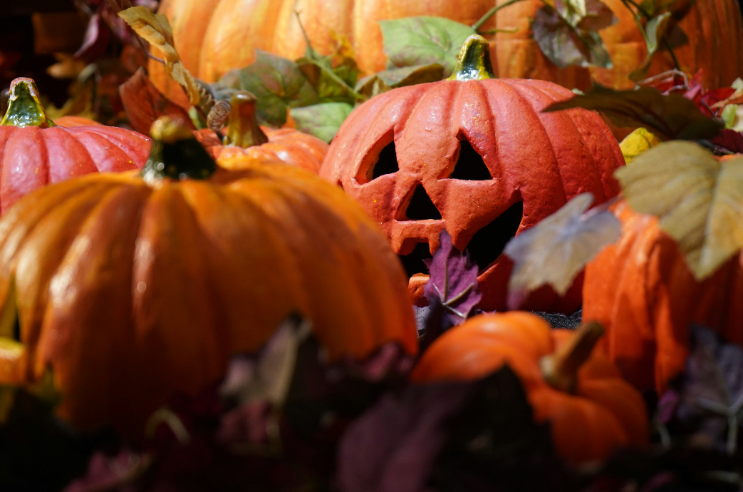 Holiday & Seasonal Picks