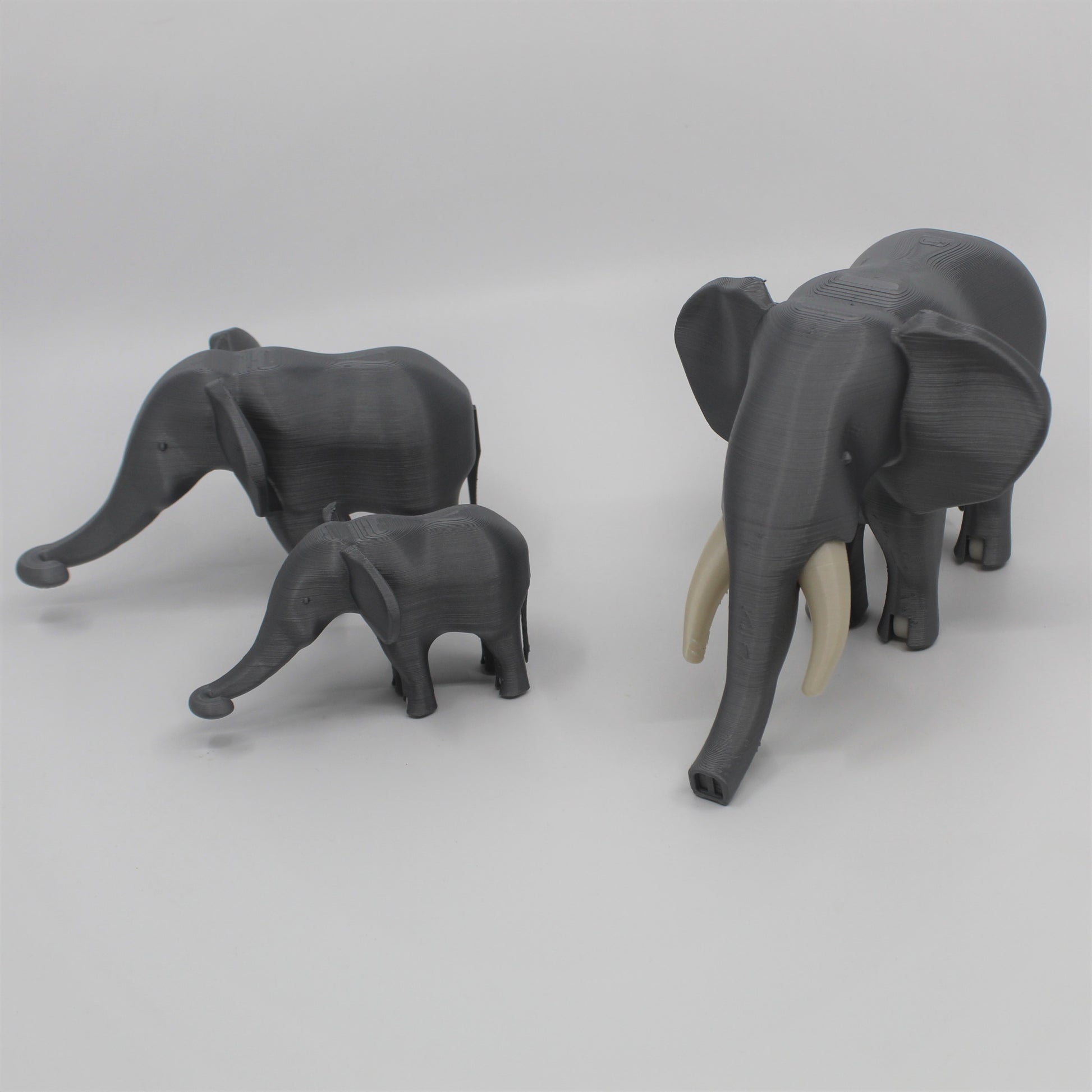 African Elephant Mama & Babies image 4