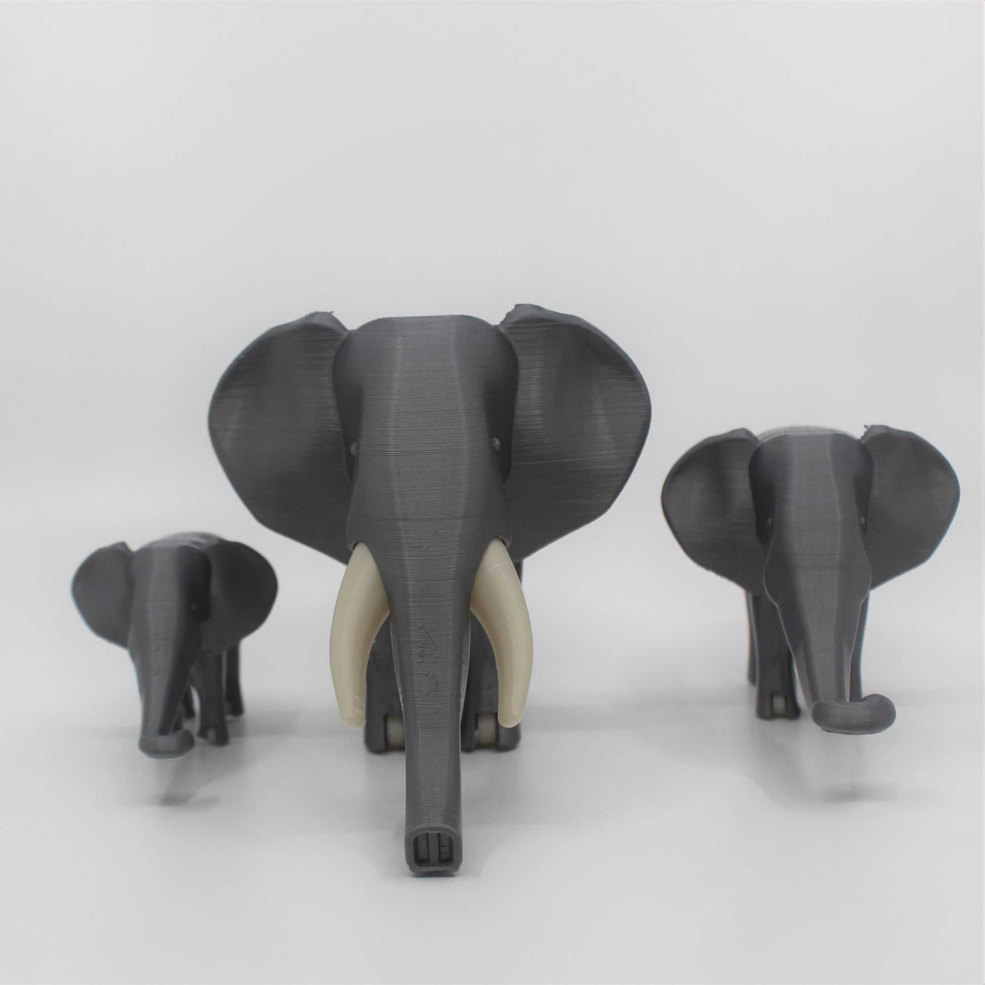 African Elephant Mama & Babies image 2