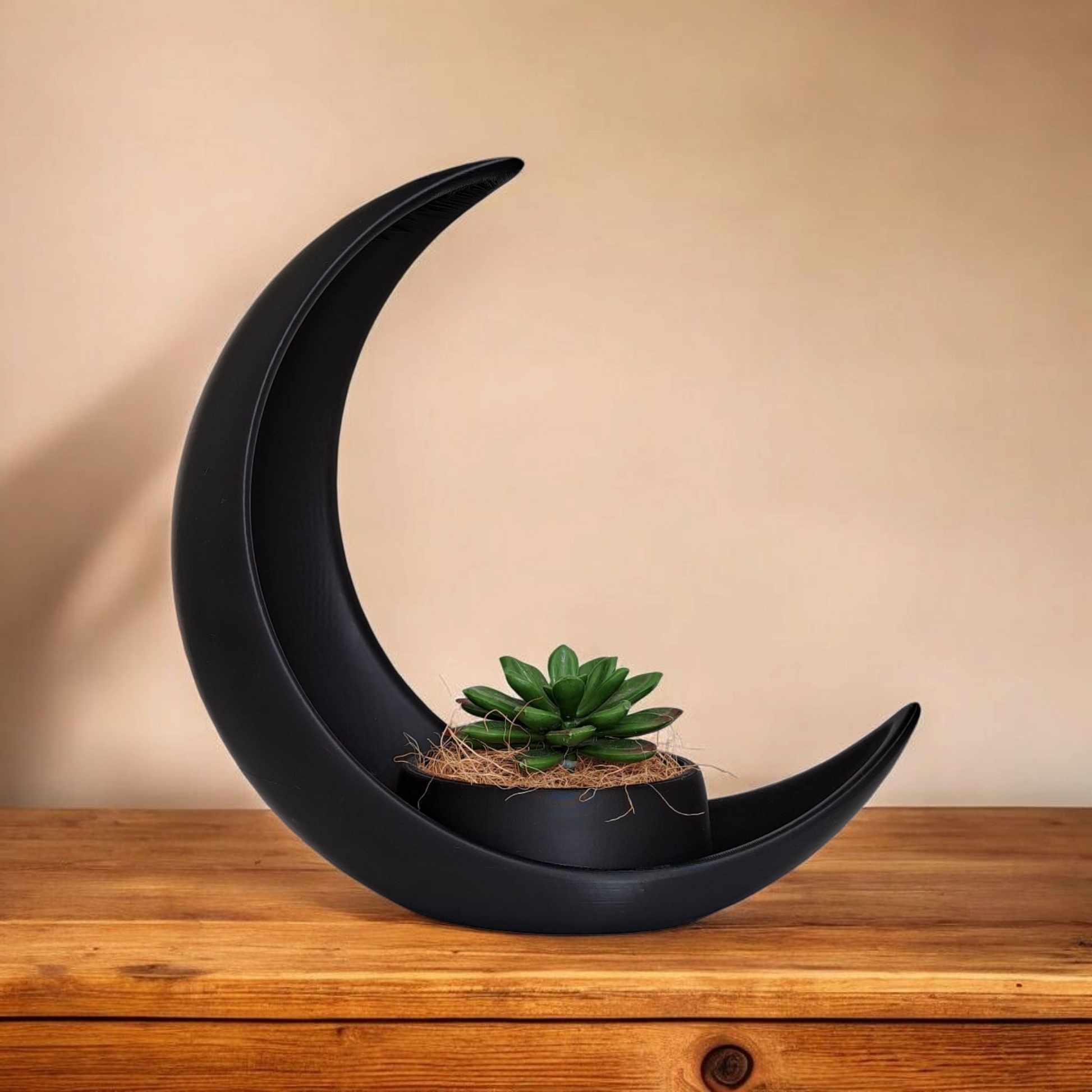 Crescent Moon Decoration With Elliptical Plant Pot image 0
