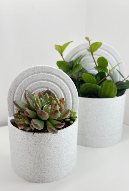 Bookend Planter With Water Reservoir image 3