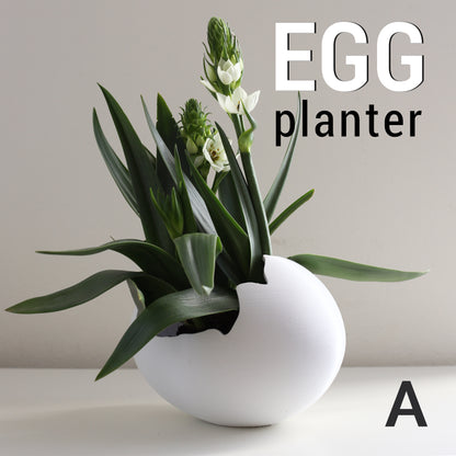 Egg Planter image 2