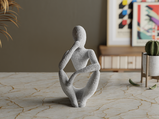 NObody - The Thinker image 0